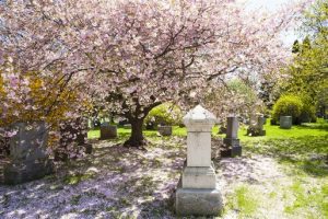 cemeteries Fredericksburg VA 1 300x200
